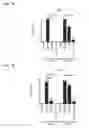 Fig. 10 - TARGETING CONSTRUCTS BASED ON NATURAL ANTIBODIES AND USES THEREOF