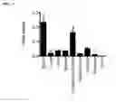 Fig. 12 - TARGETING CONSTRUCTS BASED ON NATURAL ANTIBODIES AND USES THEREOF