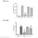 Fig. 14 - TARGETING CONSTRUCTS BASED ON NATURAL ANTIBODIES AND USES THEREOF