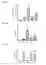 Fig. 15 - TARGETING CONSTRUCTS BASED ON NATURAL ANTIBODIES AND USES THEREOF