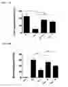 Fig. 16 - TARGETING CONSTRUCTS BASED ON NATURAL ANTIBODIES AND USES THEREOF