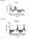 Fig. 26 - TARGETING CONSTRUCTS BASED ON NATURAL ANTIBODIES AND USES THEREOF