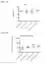 Fig. 47 - TARGETING CONSTRUCTS BASED ON NATURAL ANTIBODIES AND USES THEREOF