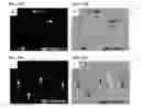 Fig. 51 - TARGETING CONSTRUCTS BASED ON NATURAL ANTIBODIES AND USES THEREOF