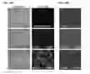 Fig. 57 - TARGETING CONSTRUCTS BASED ON NATURAL ANTIBODIES AND USES THEREOF