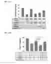 Fig. 58 - TARGETING CONSTRUCTS BASED ON NATURAL ANTIBODIES AND USES THEREOF