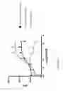 Fig. 06 - Ferroportin antibodies and methods of use