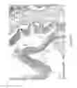 Fig. 07 - Ferroportin antibodies and methods of use