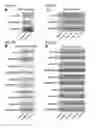 Fig. 07 - VISTA  Antagonist and Methods of Use