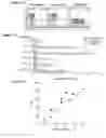 Fig. 08 - Methods for enhancing anti-tumor antibody therapy