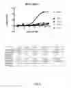 Fig. 09 - Bispecific HER2 and HER3 antigen binding constructs