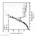 Fig. 29 - Bispecific HER2 and HER3 antigen binding constructs