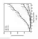 Fig. 30 - Bispecific HER2 and HER3 antigen binding constructs