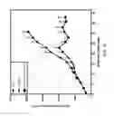 Fig. 32 - Bispecific HER2 and HER3 antigen binding constructs