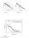 Fig. 04 - Monodisperse glycogen and phytoglycogen nanoparticles and use thereof as additives in cosmetics, pharmaceuticals, and food products
