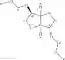 Fig. 20 - Isohexide-diacetal based polymers and a process thereof