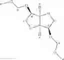 Fig. 22 - Isohexide-diacetal based polymers and a process thereof