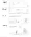 Fig. 02 - CROSSLINKED POLY-DEPSIPEPTIDE COPOLYMERS AND METHODS OF MAKING THEREOF