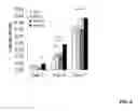 Fig. 10 - CROSSLINKED POLY-DEPSIPEPTIDE COPOLYMERS AND METHODS OF MAKING THEREOF
