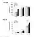 Fig. 11 - CROSSLINKED POLY-DEPSIPEPTIDE COPOLYMERS AND METHODS OF MAKING THEREOF