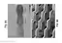 Fig. 12 - CROSSLINKED POLY-DEPSIPEPTIDE COPOLYMERS AND METHODS OF MAKING THEREOF