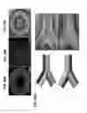 Fig. 25 - CROSSLINKED POLY-DEPSIPEPTIDE COPOLYMERS AND METHODS OF MAKING THEREOF