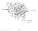 Fig. 02 - Impact modified injection molded body and method for the production thereof