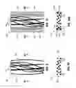 Fig. 08 - Placement of modifier material in resin-rich pockets to mitigate microcracking in a composite structure
