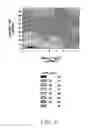 Fig. 04 - Materials with enhanced protection of light sensitive entities