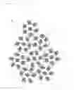 Fig. 05 - ARTIFICIAL SOIL PARTICLE, AND METHOD FOR PRODUCING ARTIFICIAL SOIL PARTICLE