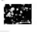 Fig. 02 - Filler powder and method for manufacturing same