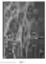 Fig. 05 - Cellular polymeric material