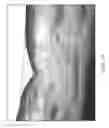 Fig. 19 - Cellular polymeric material