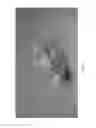 Fig. 09 - Biomaterial handling device
