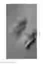 Fig. 11 - Biomaterial handling device