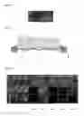 Fig. 06 - Method for deforming and/or fragmenting a cell, spore or virus with a vibrating plate