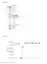 Fig. 03 - Bacteriophage and antibacterial composition comprising the same