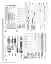 Fig. 13 - Methods for modulating cyclic nucleotide-mediated signaling in cardiac myocytes and compositions