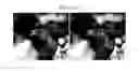 Fig. 24 - Phosphotriesterase enzymes, methods and compositions related thereto