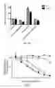 Fig. 05 - BORONATE-MEDIATED DELIVERY OF MOLECULES INTO CELLS