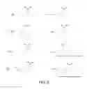 Fig. 09 - BORONATE-MEDIATED DELIVERY OF MOLECULES INTO CELLS