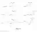 Fig. 11 - BORONATE-MEDIATED DELIVERY OF MOLECULES INTO CELLS