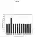 Fig. 04 - Cold-adapted protease derived from PAMC 21717 and uses thereof