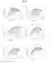Fig. 07 - Cold-adapted protease derived from PAMC 21717 and uses thereof