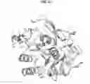 Fig. 12 - Cold-adapted protease derived from PAMC 21717 and uses thereof