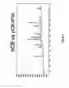 Fig. 06 - Aspartic proteases