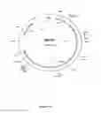 Fig. 14 - Mutant CyaA polypeptides and polypeptide derivatives suitable for the delivery of immunogenic molecules into a cell