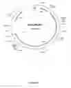 Fig. 18 - Mutant CyaA polypeptides and polypeptide derivatives suitable for the delivery of immunogenic molecules into a cell