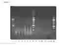 Fig. 11 - METHODS FOR SAMPLE PREPARATION