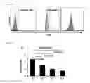 Fig. 08 - Aptamer-RNAi therapeutic compositions